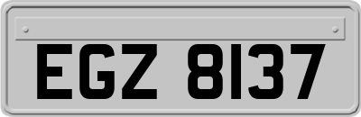 EGZ8137