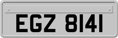 EGZ8141