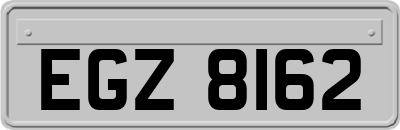 EGZ8162