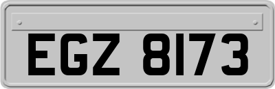 EGZ8173
