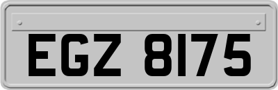 EGZ8175