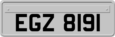 EGZ8191