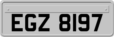 EGZ8197