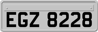 EGZ8228
