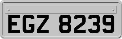 EGZ8239