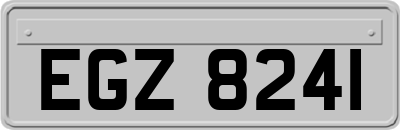 EGZ8241