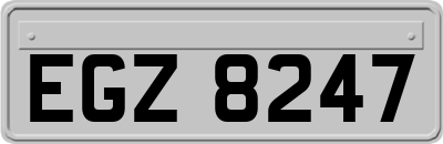 EGZ8247