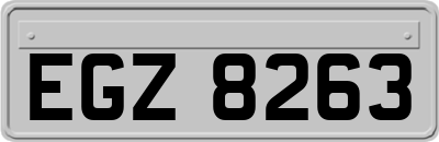EGZ8263