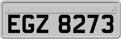 EGZ8273
