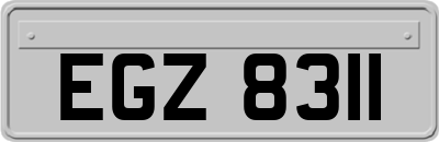 EGZ8311