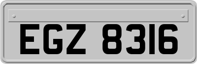 EGZ8316