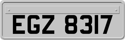 EGZ8317