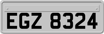 EGZ8324