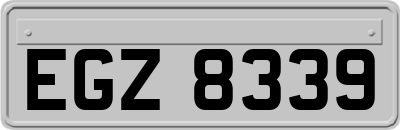 EGZ8339