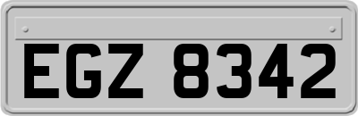 EGZ8342