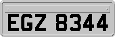 EGZ8344