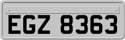 EGZ8363