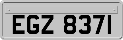 EGZ8371