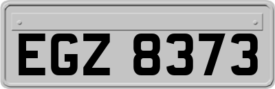 EGZ8373