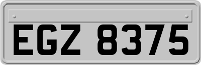 EGZ8375