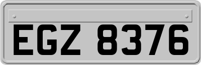EGZ8376