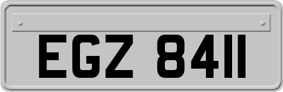 EGZ8411