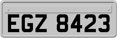 EGZ8423