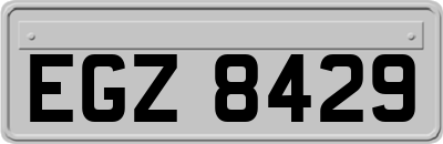 EGZ8429