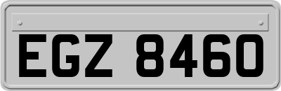EGZ8460