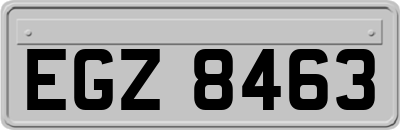 EGZ8463