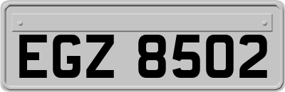 EGZ8502