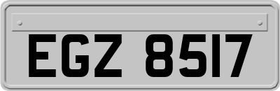 EGZ8517