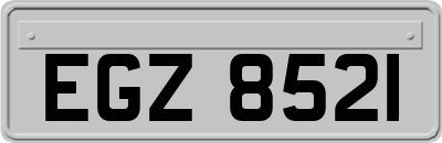 EGZ8521