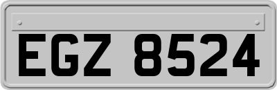 EGZ8524