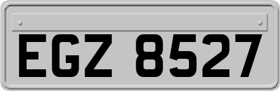 EGZ8527