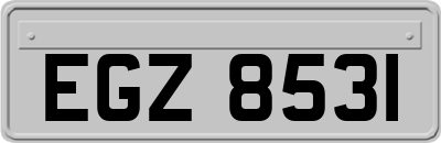 EGZ8531