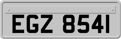 EGZ8541