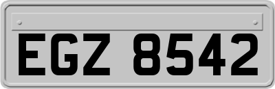 EGZ8542