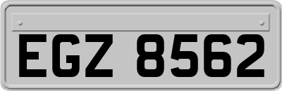 EGZ8562