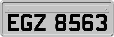 EGZ8563