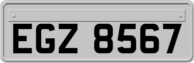 EGZ8567