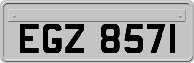 EGZ8571