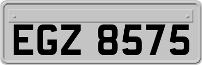 EGZ8575