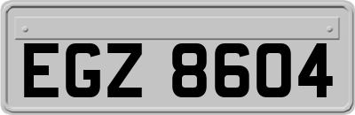 EGZ8604