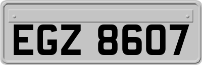 EGZ8607
