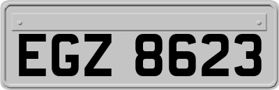 EGZ8623