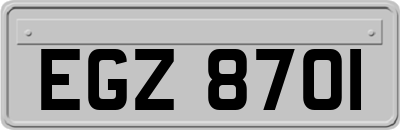 EGZ8701