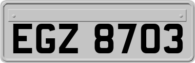 EGZ8703