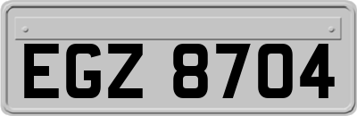 EGZ8704