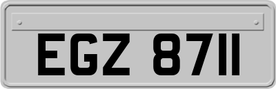 EGZ8711
